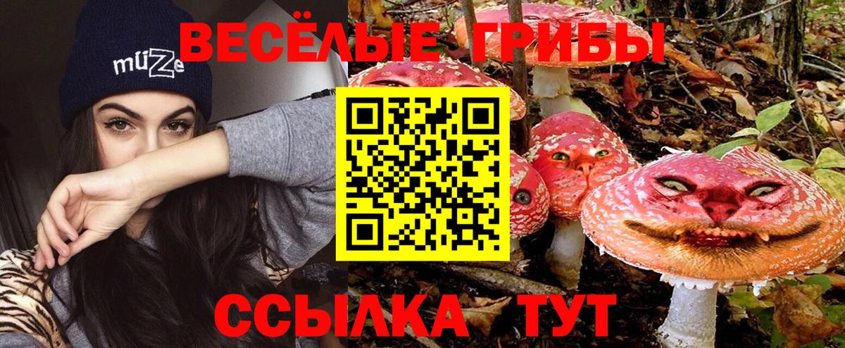 Псилоцибиновые грибы Cubensis Елабуга
