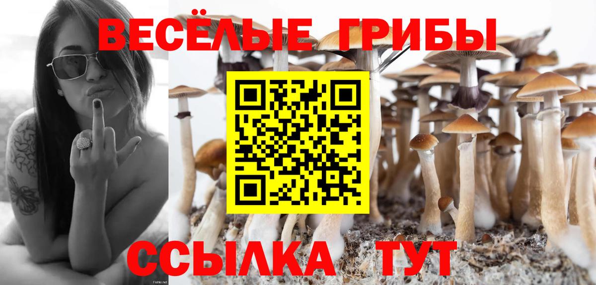 Псилоцибиновые грибы GOLDEN TEACHER  Псилоцибиновые грибы Cubensis  Елабуга  Вход с VPN 